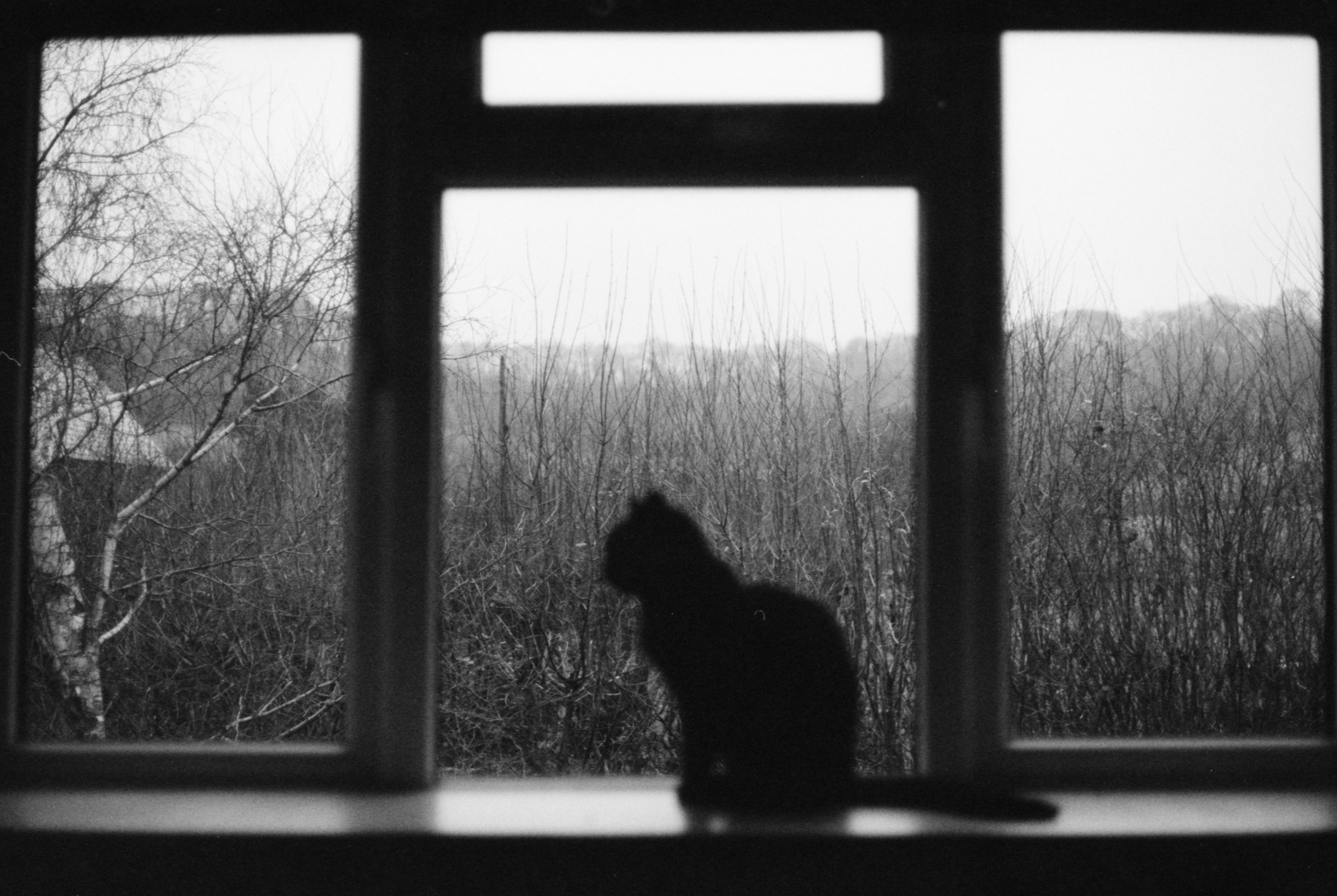 					View Vol. 1 No. 1 (2016)
				
